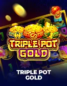 Triple Pot